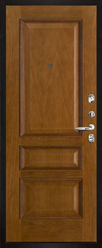 Дверь входная Президент Лайн Титан, цвет силк титан + черный пластик, панель - вена цвет античный дуб - фото 106540 Дверь входная Президент Лайн Титан, цвет силк титан + черный пластик, панель - вена цвет античный дуб - фото 106540