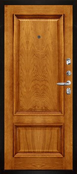 Дверь входная уличная Панцирь, цвет букле опал, панель - корсика цвет дуб patina antico - фото 107774