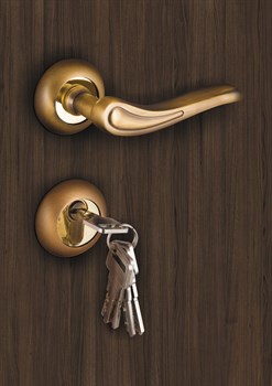 Ручка Fuaro (Фуаро) раздельная R.RM54.MELODY (MELODY RM) AB/GP-7 бронза/золото - фото 81702 Ручка Fuaro (Фуаро) раздельная R.RM54.MELODY (MELODY RM) AB/GP-7 бронза/золото - фото 81702