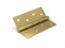 Петля Fuaro (Фуаро) универсальная IN4400U-BL SB (4BB/BL 100x75x2,5) мат.золото БЛИСТЕР - фото 132670