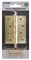 Петля Fuaro (Фуаро) универсальная IN4400UA-BL SB (4BB/A/BL 100x75x2,5) мат. золото БЛИСТЕР - фото 132677