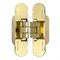 Петля Armadillo (Армадилло) скрытой установки U3D4000 SG (9540UN3D) мат. золото - фото 85524